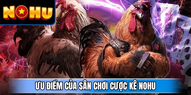 Ưu điểm của sân chơi cược kê NOHU